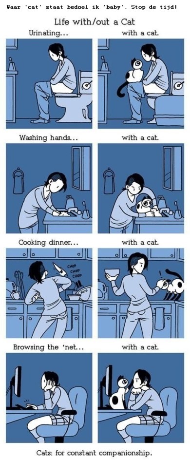 Life with cats met tekst